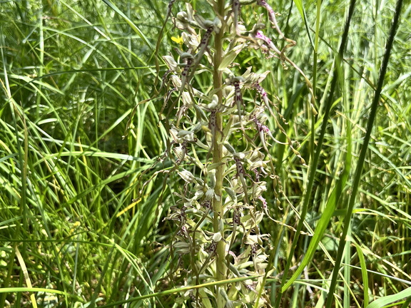 24-05-18 16-03-22 9470